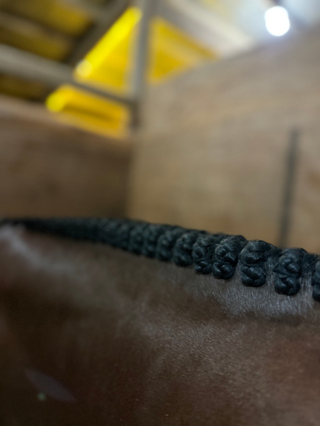 Your Braider Has 15 Horses&nbsp;Today…