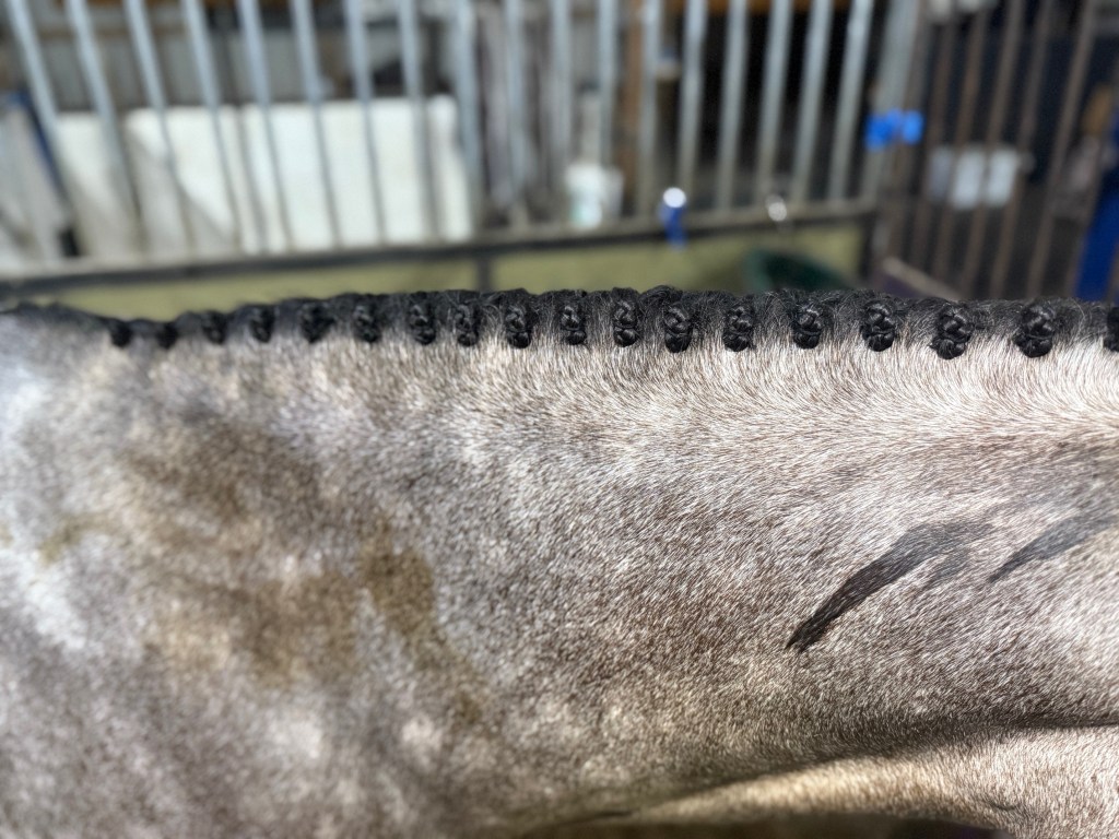 Braid results and manes we’re given (with&nbsp;pictures)